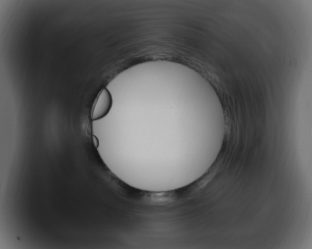 X0000100390622200806060835