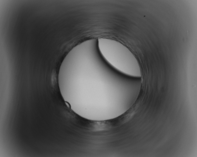 X0000100390623200806060835