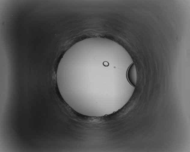 X0000100390624200806060835