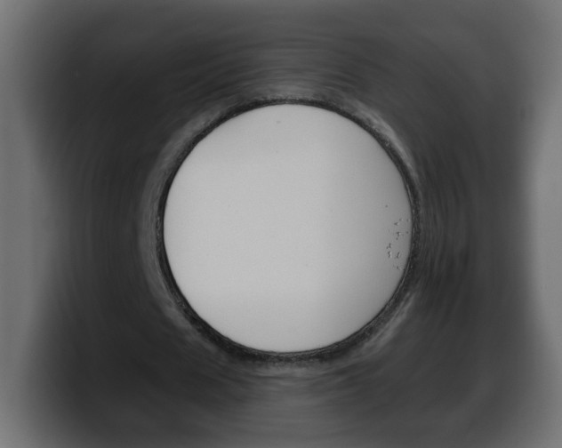X0000100390625200806060834