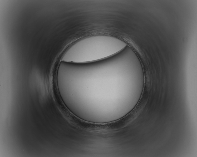 X0000100390626200806060834