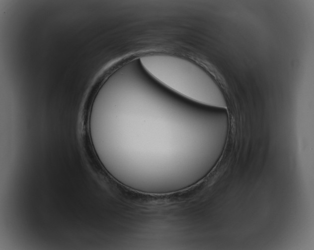 X0000100390628200806060834