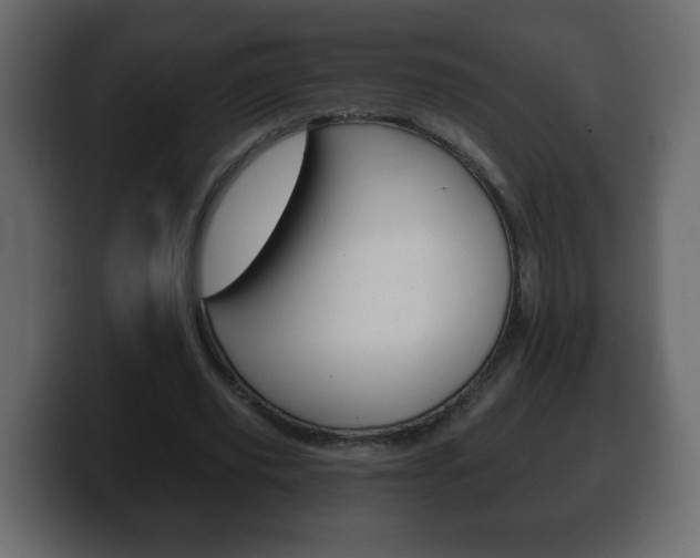 X0000100390629200806060834