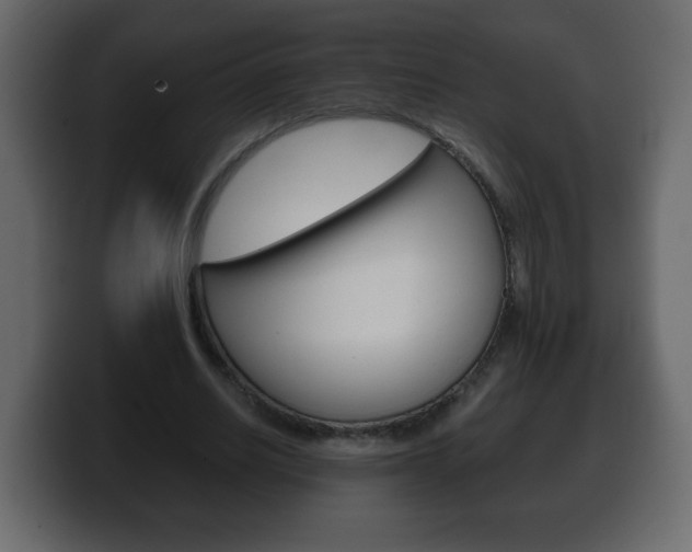 X0000100390630200806060834