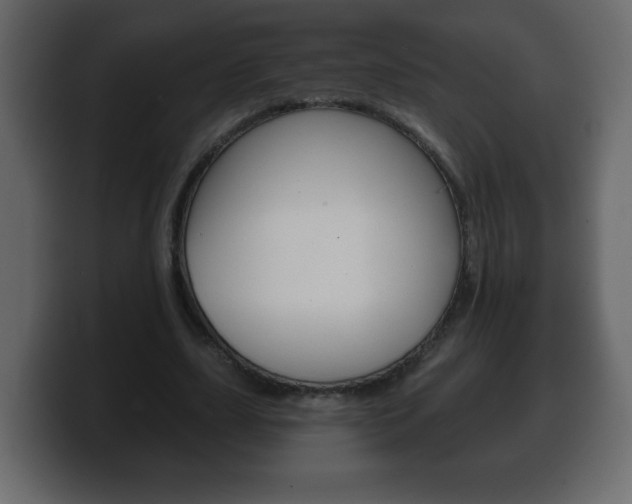 X0000100390631200806060834