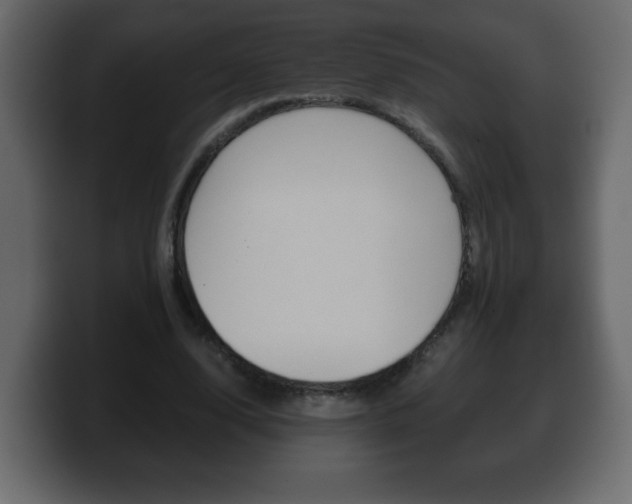 X0000100390632200806060834