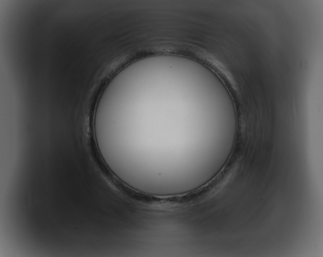 X0000100390633200806060834