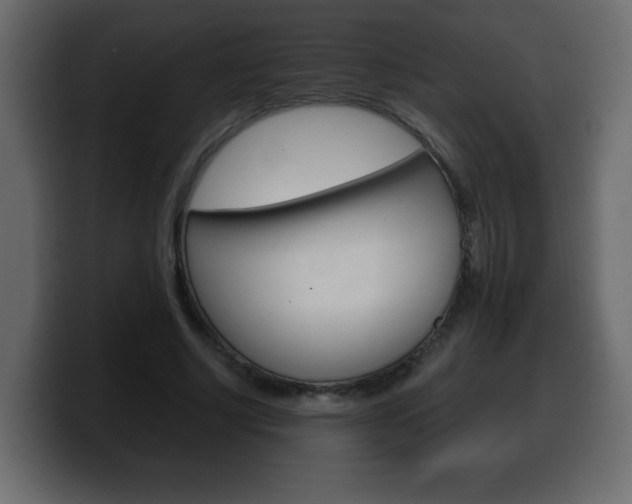 X0000100390634200806060834