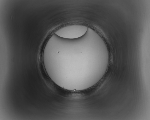 X0000100390636200806060834