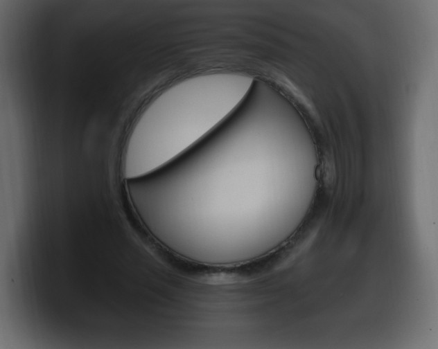 X0000100390637200806060834