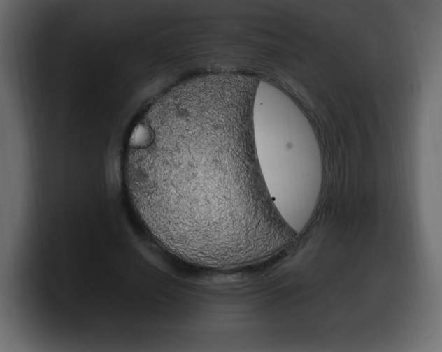 X0000100390638200806060834