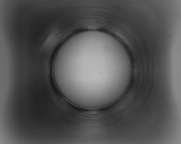 X0000100390639200806060834