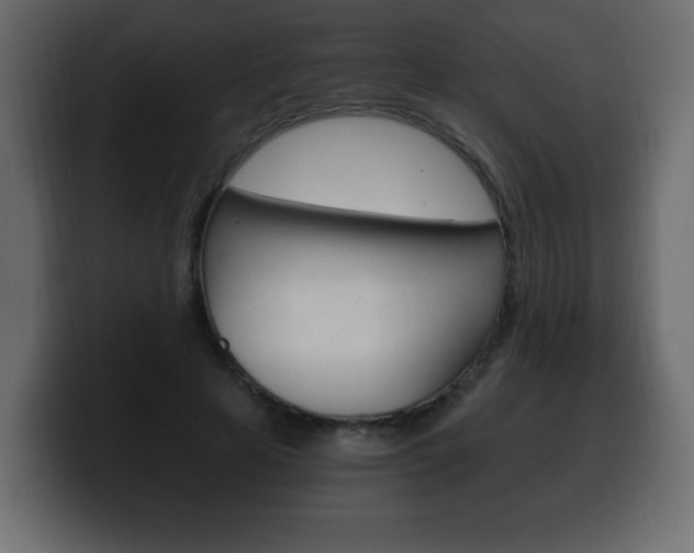 X0000100390641200806060834