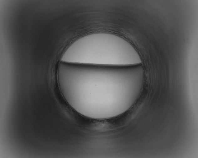 X0000100390642200806060834