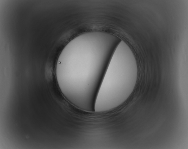X0000100390644200806060834