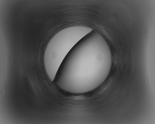 X0000100390645200806060834