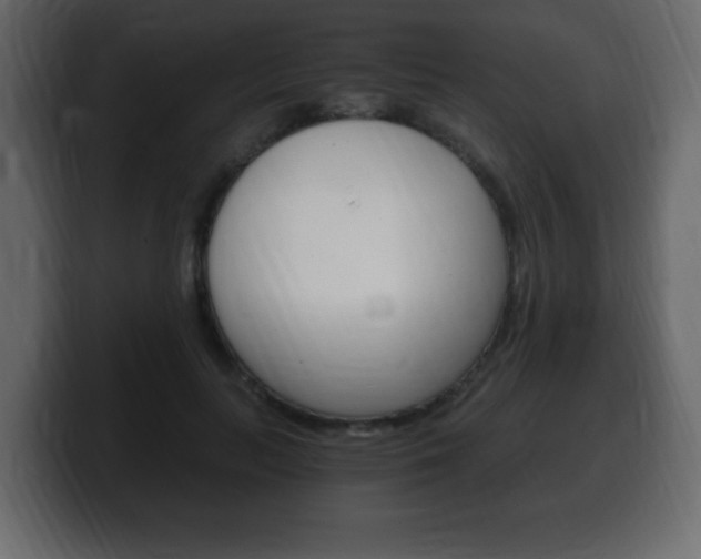 X0000100390647200806060834