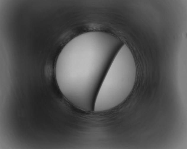 X0000100390648200806060834