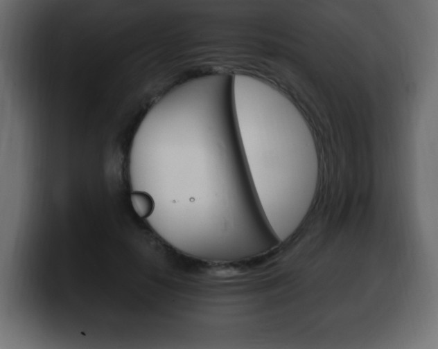 X0000100390650200806060834