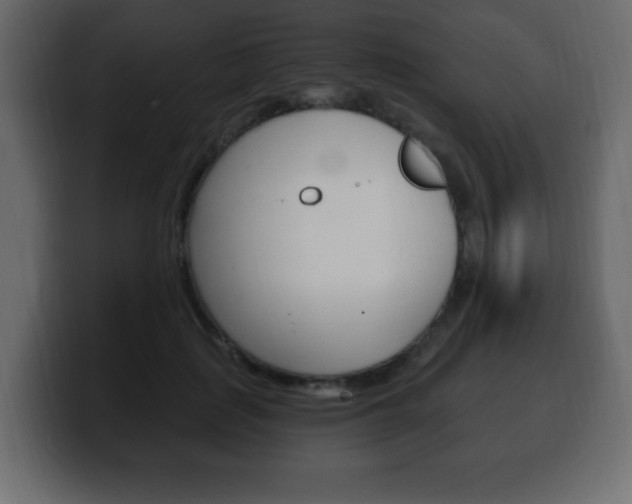 X0000100390651200806060834