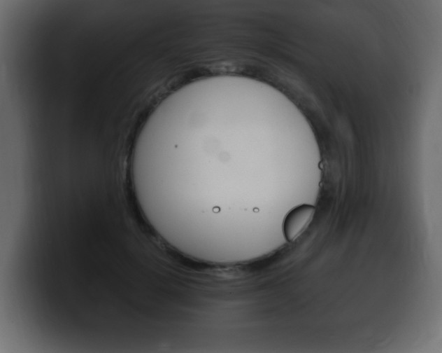 X0000100390652200806060834
