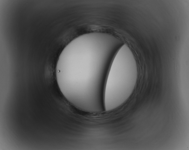 X0000100390653200806060834