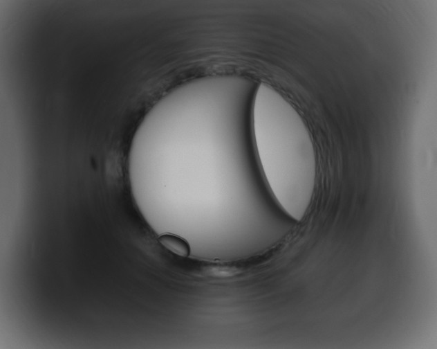 X0000100390654200806060834