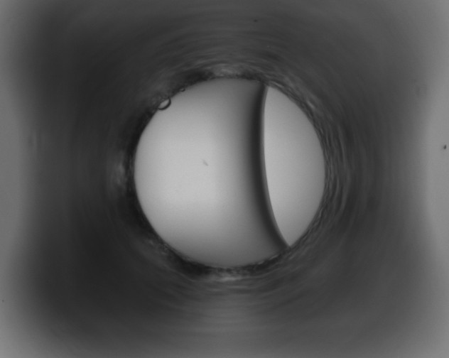 X0000100390655200806060834