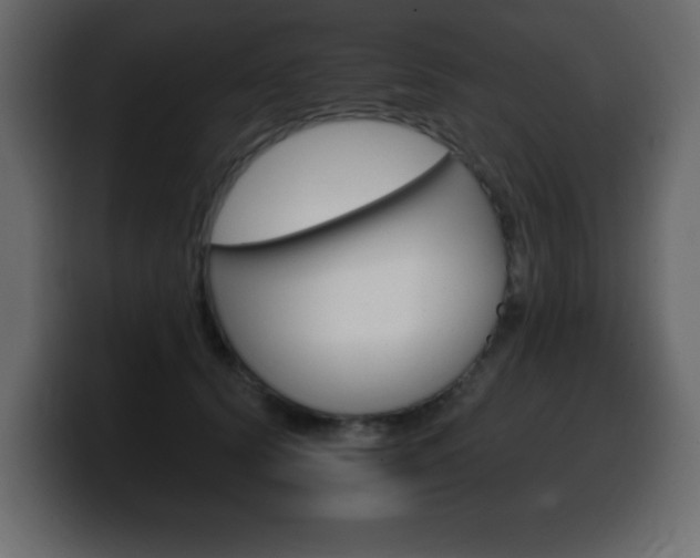 X0000100390656200806060834