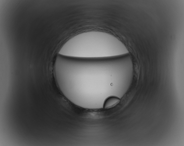 X0000100390657200806060834