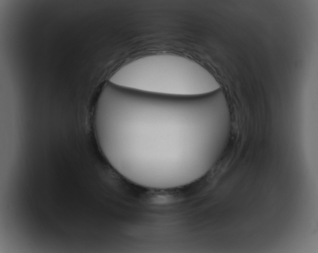 X0000100390658200806060834