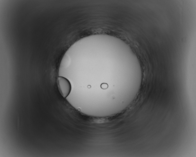 X0000100390659200806060835