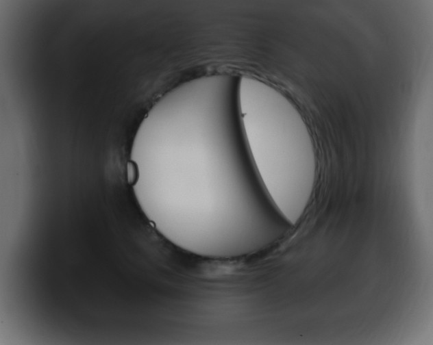 X0000100390661200806060835