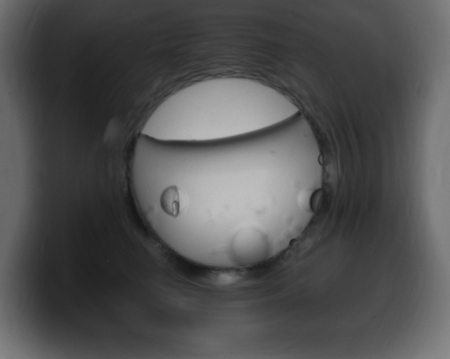 X0000100390662200806060835