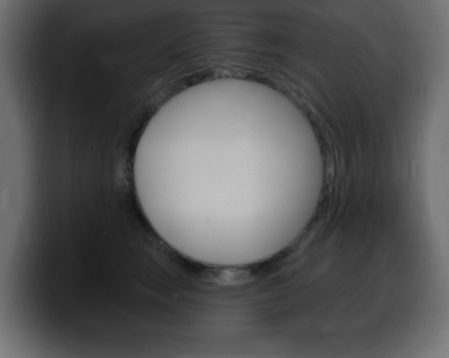 X0000100390663200806060835