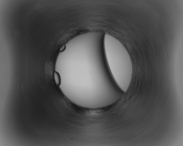 X0000100390664200806060835