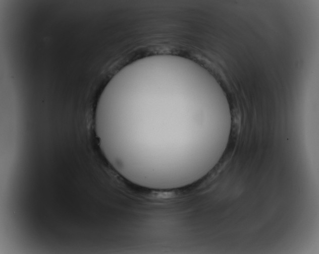 X0000100390665200806060835