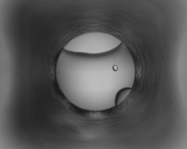 X0000100390666200806060835