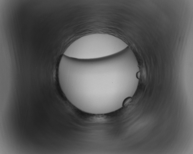 X0000100390668200806060835