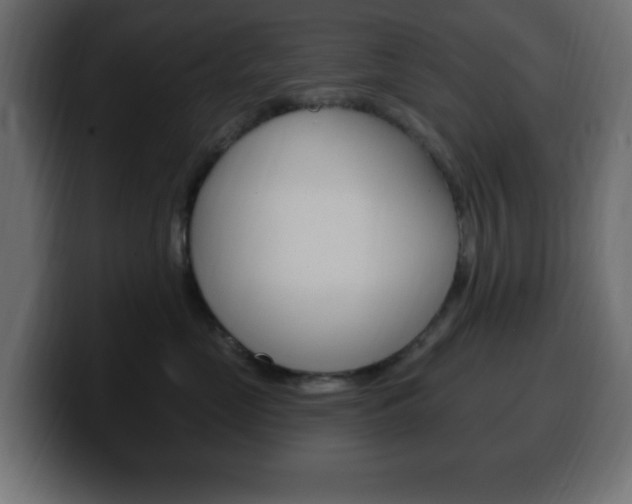 X0000100390669200806060835