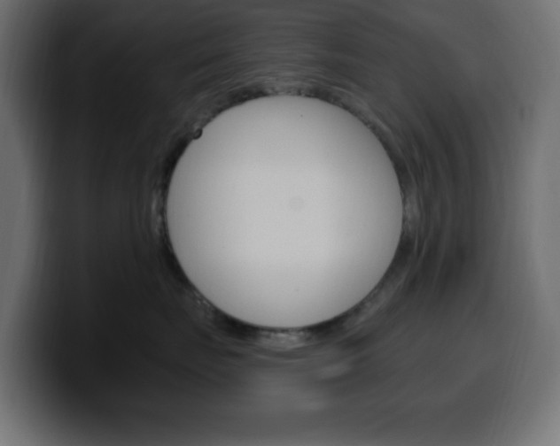 X0000100390671200806060835