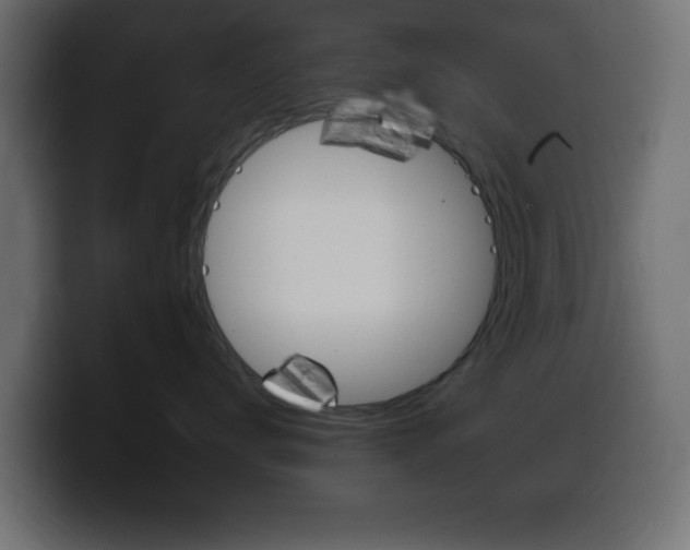 X0000100390672200806060835