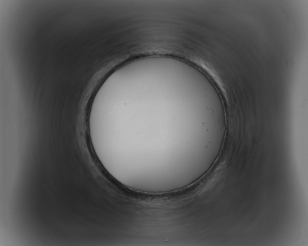 X0000100390673200806060834