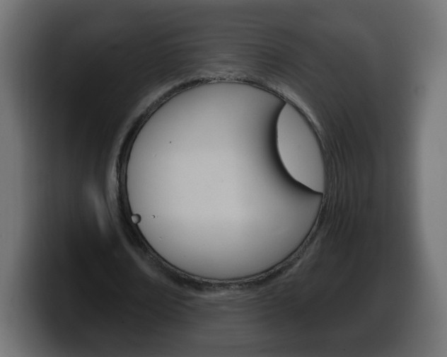 X0000100390674200806060834