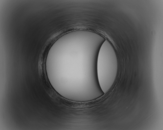 X0000100390675200806060834