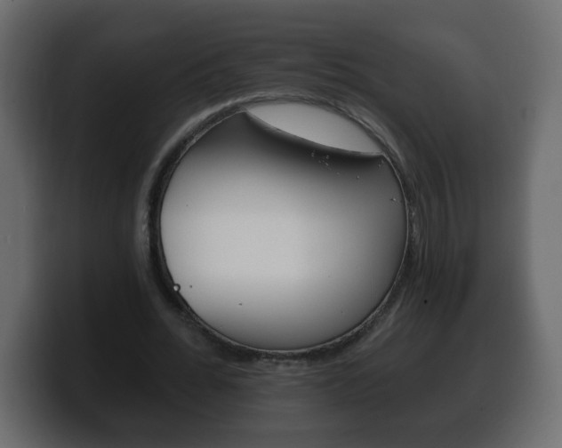 X0000100390676200806060834