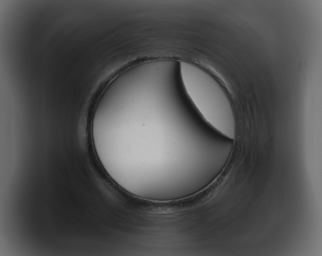 X0000100390677200806060834