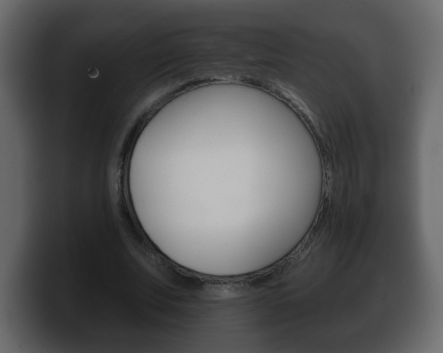 X0000100390679200806060834
