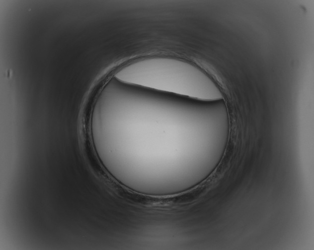 X0000100390680200806060834