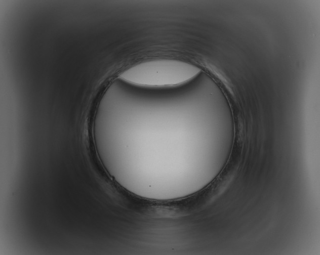 X0000100390681200806060834